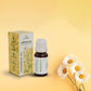 XalivEssence Chamomile Essential Oil 15ml